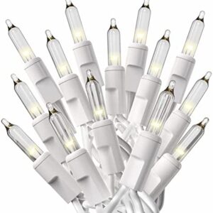 White Christmas Lights with White Wire